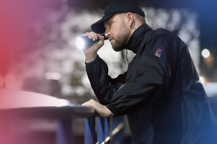 W.I.S. Sicherheit Security